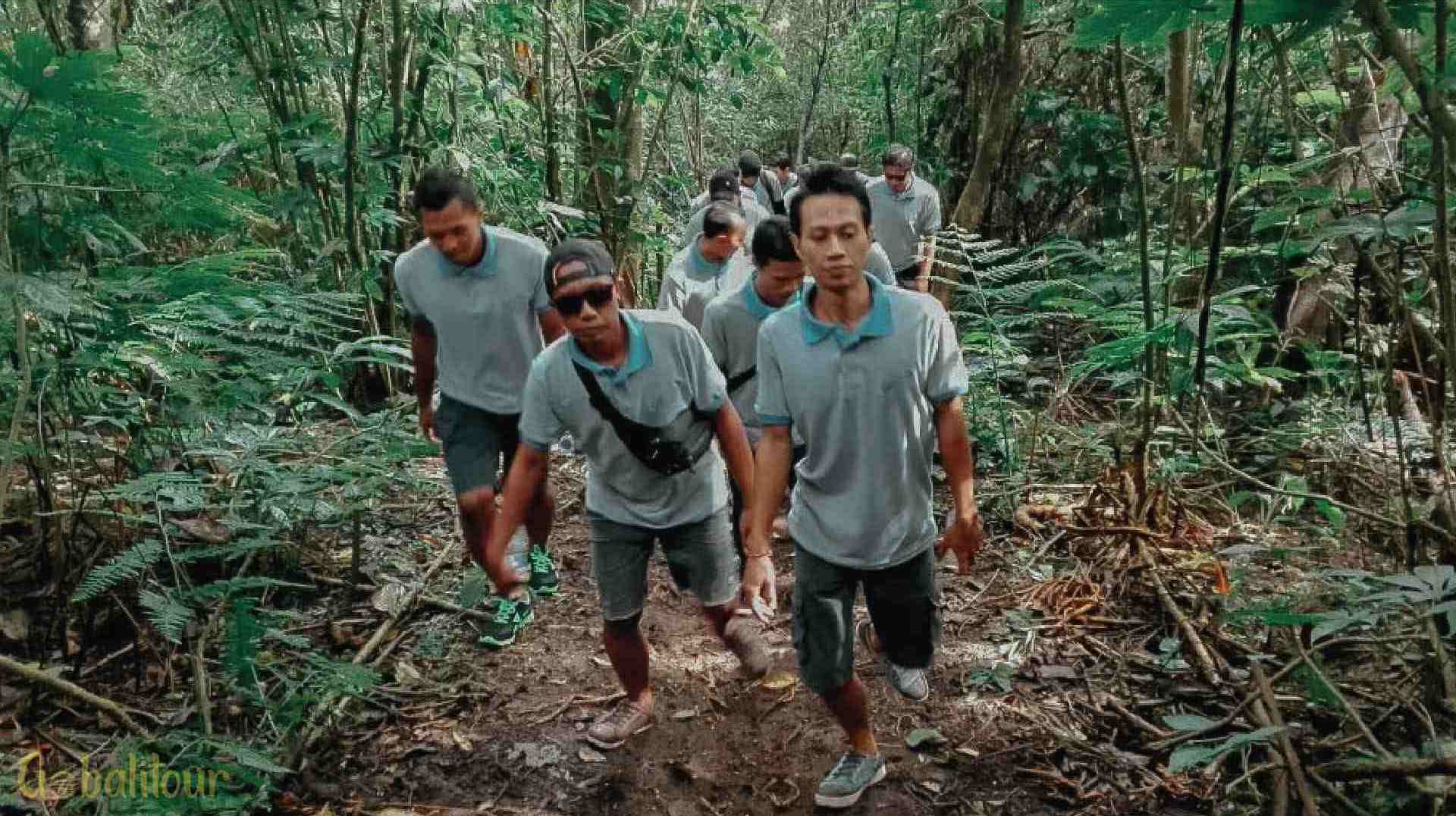 Bali Trekking