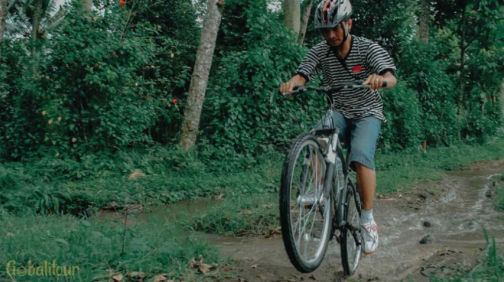 Bali Cycling Murah