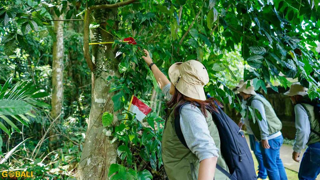Cara Memilih Area Outbound yang Aman Berdasarkan Jenis Aktivitas