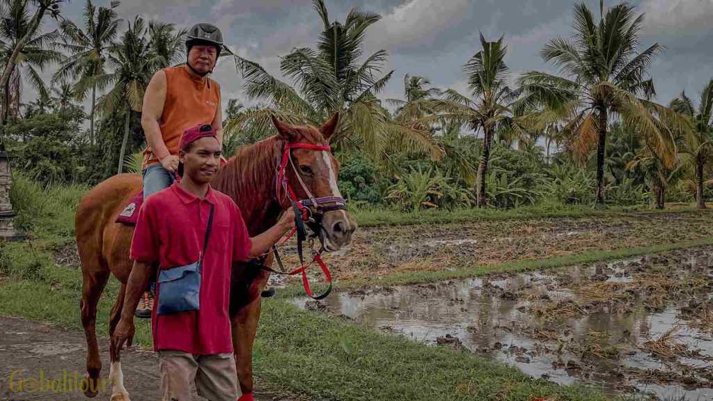 Bali Berkuda