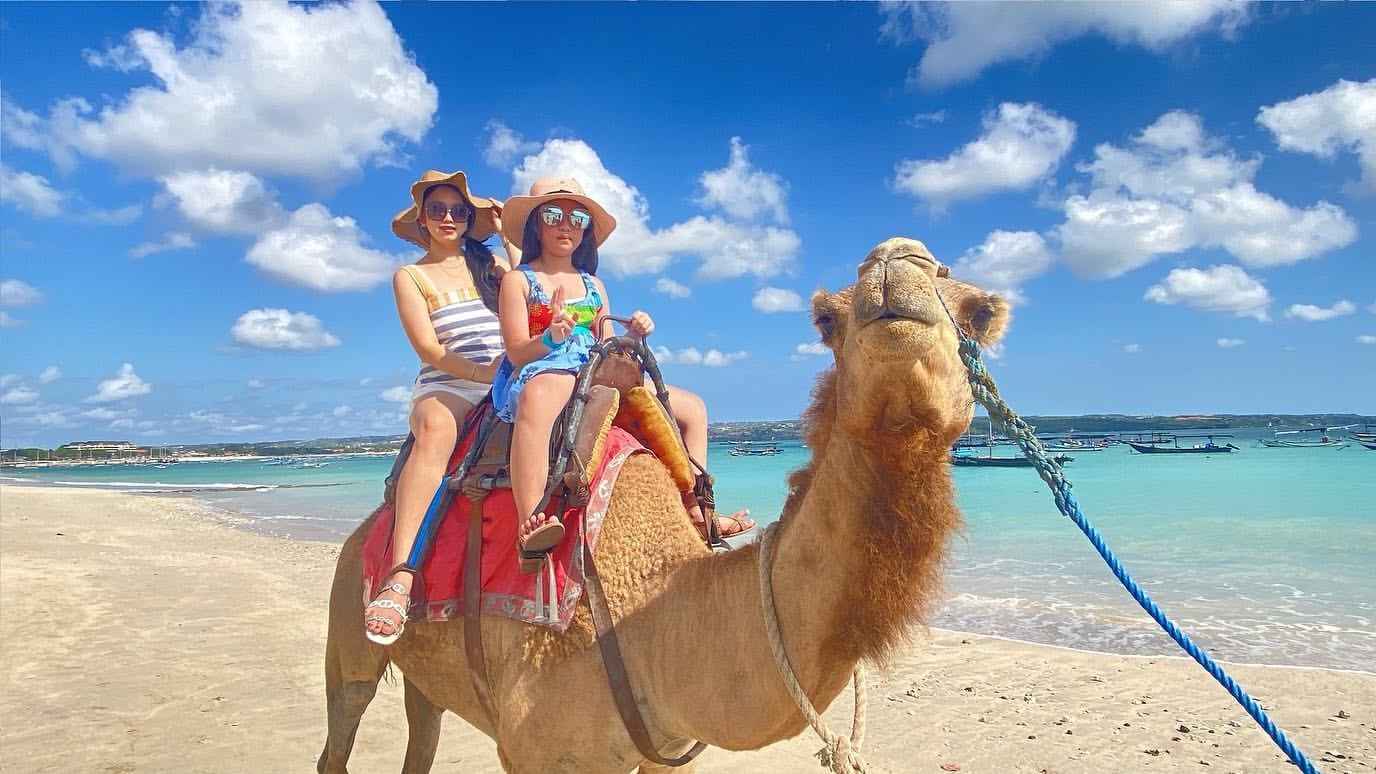 Bali Camel Safari