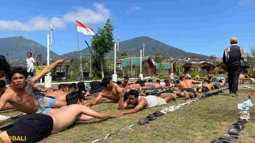Tenda glamping di The Kubu Camp Bedugul dengan pemandangan hutan pinus dan suasana alami.