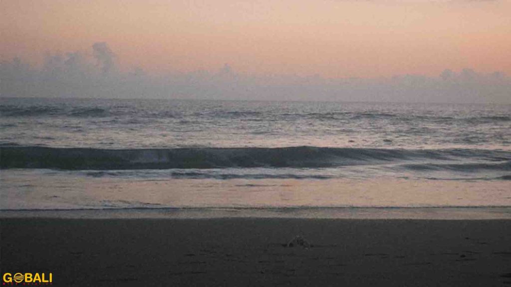 Pemandangan Pantai Tampih di Tabanan Bali yang luas dengan pasir hitam alami dan suasana sepi.